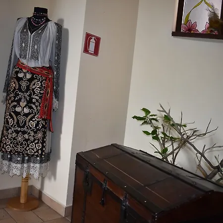 Guest house Park - Boutique 4*